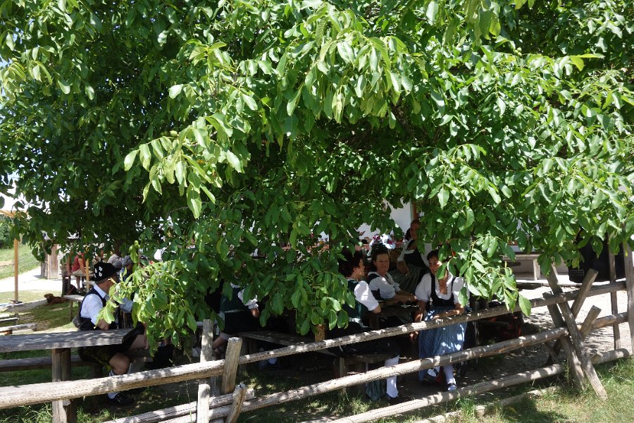 DSC00086